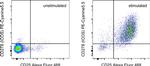 CD278 (ICOS) Antibody in Flow Cytometry (Flow)