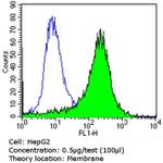 Rabbit IgG (H+L) Secondary Antibody in Flow Cytometry (Flow)