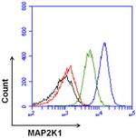 Rabbit IgG (H+L) Secondary Antibody in Flow Cytometry (Flow)