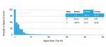 Interleukin-3 (IL-3) Antibody in Peptide array (ARRAY)