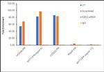 EZH2 Antibody in ChIP Assay (ChIP)