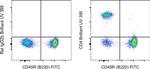 CD4 Antibody in Flow Cytometry (Flow)