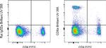 CD8a Antibody in Flow Cytometry (Flow)