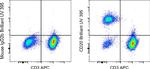 CD20 Antibody in Flow Cytometry (Flow)