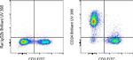 CD24 Antibody in Flow Cytometry (Flow)