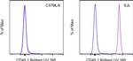 CD45.1 Antibody in Flow Cytometry (Flow)