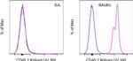 CD45.2 Antibody in Flow Cytometry (Flow)