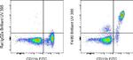 F4/80 Antibody in Flow Cytometry (Flow)