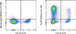 Ki-67 Antibody in Flow Cytometry (Flow)