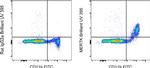 MERTK Antibody in Flow Cytometry (Flow)