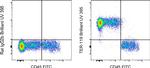 TER-119 Antibody in Flow Cytometry (Flow)