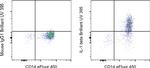 IL-1 beta Antibody in Flow Cytometry (Flow)