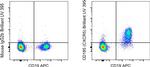 CD185 (CXCR5) Antibody in Flow Cytometry (Flow)