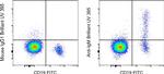 IgM Antibody in Flow Cytometry (Flow)