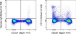 CD11c Antibody in Flow Cytometry (Flow)