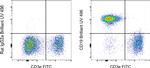 CD19 Antibody in Flow Cytometry (Flow)