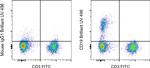 CD19 Antibody in Flow Cytometry (Flow)