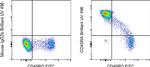 CD45RA Antibody in Flow Cytometry (Flow)