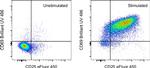 CD69 Antibody in Flow Cytometry (Flow)