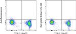 Rat IgG2b kappa Isotype Control in Flow Cytometry (Flow)