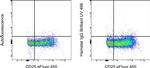 Armenian Hamster IgG Isotype Control in Flow Cytometry (Flow)