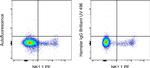 Syrian Hamster IgG Isotype Control in Flow Cytometry (Flow)