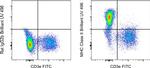 MHC Class II (I-A/I-E) Antibody in Flow Cytometry (Flow)