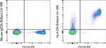 HLA-DR Antibody in Flow Cytometry (Flow)