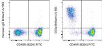 CD3e Antibody in Flow Cytometry (Flow)