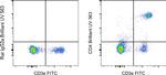 CD4 Antibody in Flow Cytometry (Flow)