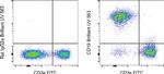 CD19 Antibody in Flow Cytometry (Flow)