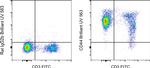 CD44 Antibody in Flow Cytometry (Flow)