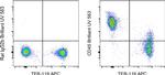 CD45 Antibody in Flow Cytometry (Flow)