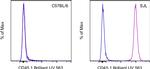 CD45.1 Antibody in Flow Cytometry (Flow)