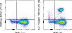 CD170 (Siglec F) Antibody in Flow Cytometry (Flow)