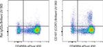 CD197 (CCR7) Antibody in Flow Cytometry (Flow)