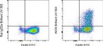 iNOS Antibody in Flow Cytometry (Flow)