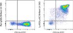 Ly-6G/Ly-6C Antibody in Flow Cytometry (Flow)