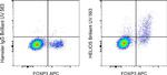 HELIOS Antibody in Flow Cytometry (Flow)