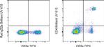 CD4 Antibody in Flow Cytometry (Flow)