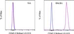 CD45.2 Antibody in Flow Cytometry (Flow)