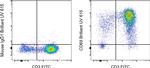 CD69 Antibody in Flow Cytometry (Flow)