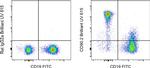 CD90.2 (Thy-1.2) Antibody in Flow Cytometry (Flow)