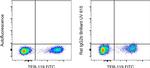 Rat IgG2b kappa Isotype Control in Flow Cytometry (Flow)