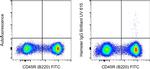 Armenian Hamster IgG Isotype Control in Flow Cytometry (Flow)