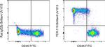 TER-119 Antibody in Flow Cytometry (Flow)