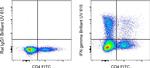 IFN gamma Antibody in Flow Cytometry (Flow)