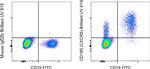 CD185 (CXCR5) Antibody in Flow Cytometry (Flow)