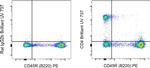 CD4 Antibody in Flow Cytometry (Flow)