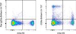 CD8a Antibody in Flow Cytometry (Flow)